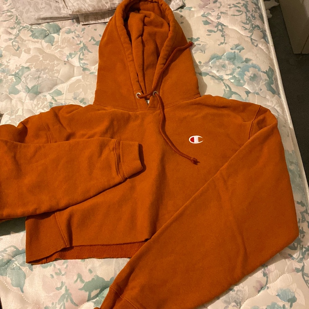 Champion Hoodie Sweater Cropped